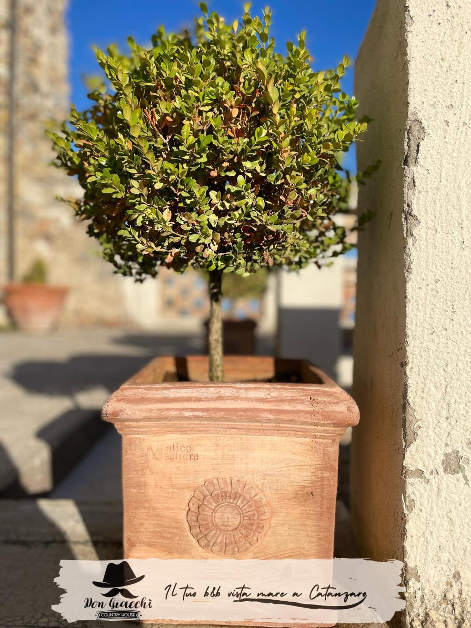 Don Giacchi Country House Catanzaro Eksteriør billede